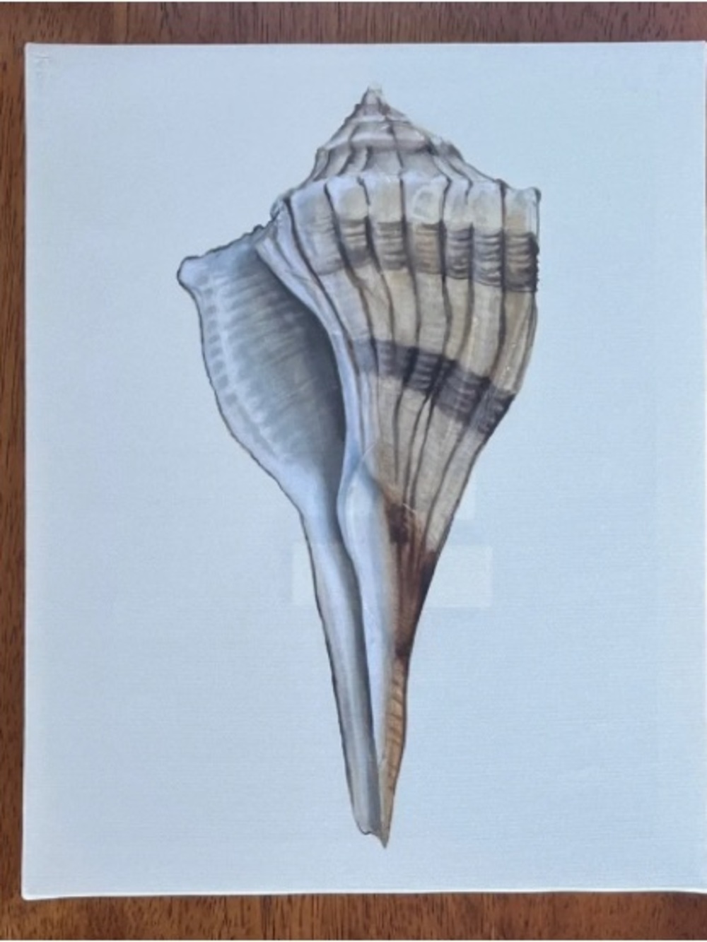 Textured Canvas Seashell Art Print